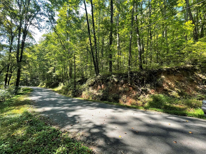 Photo #4: Tract Abc Dyer Hollow Road