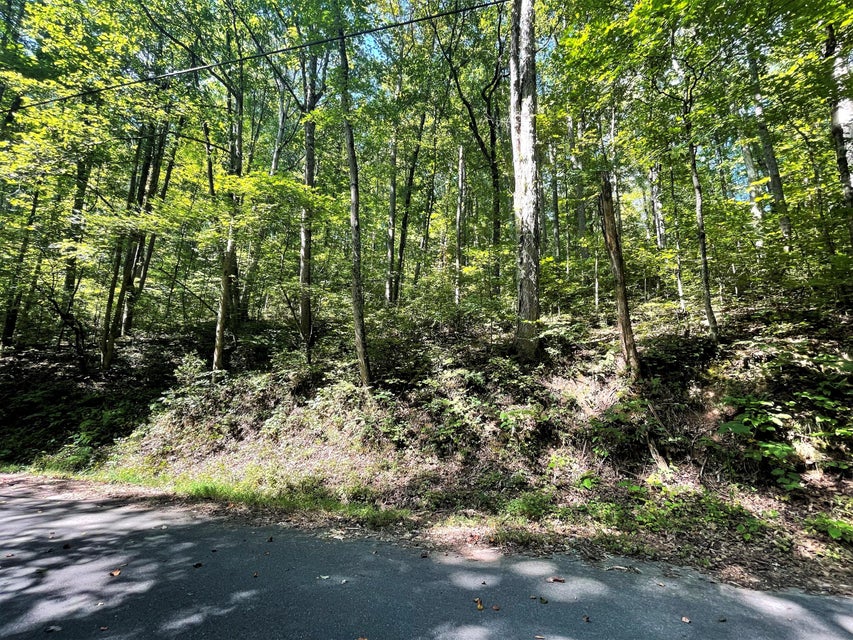 Photo #6: Tract Abc Dyer Hollow Road