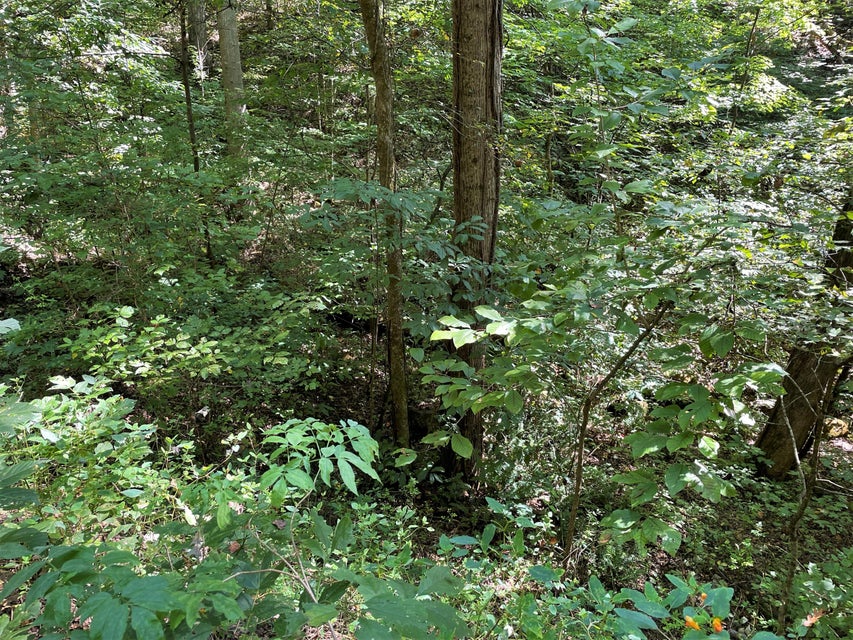 Photo #8: Tract Abc Dyer Hollow Road
