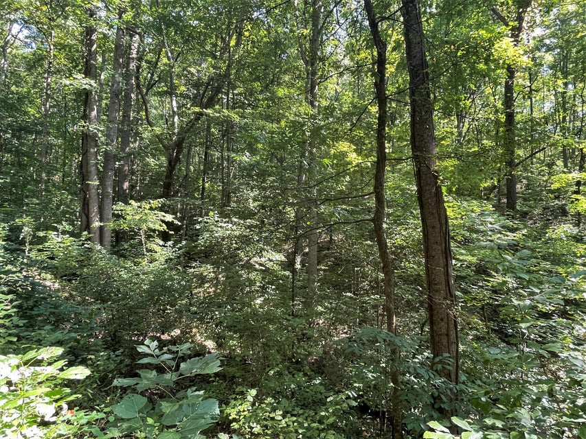 Photo #9: Tract Abc Dyer Hollow Road