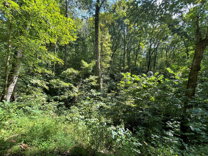 Photo #11: Tract Abc Dyer Hollow Road