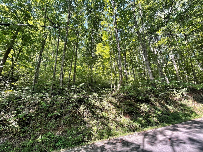 Photo #12: Tract Abc Dyer Hollow Road