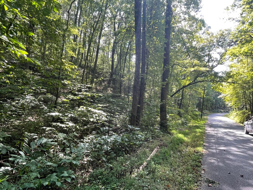 Photo #14: Tract Abc Dyer Hollow Road