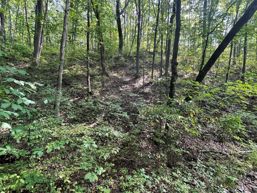 Photo #20: Tract Abc Dyer Hollow Road