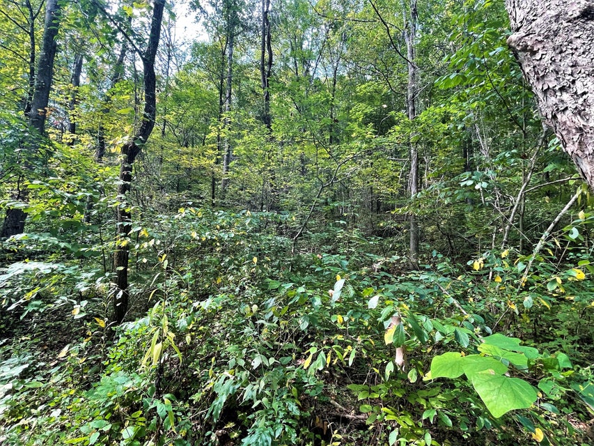 Photo #21: Tract Abc Dyer Hollow Road