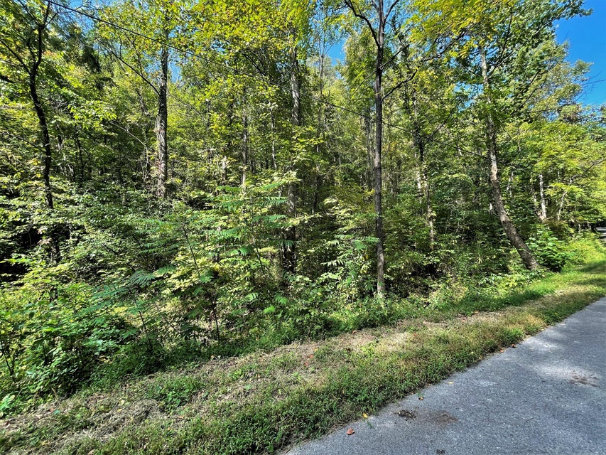 Photo #23: Tract Abc Dyer Hollow Road
