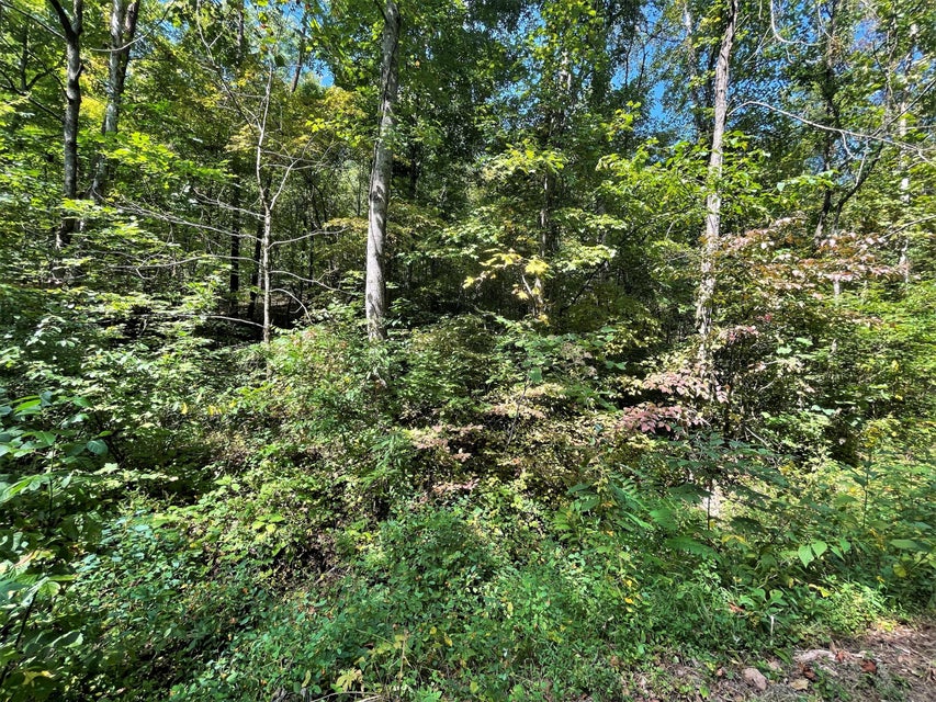 Photo #28: Tract Abc Dyer Hollow Road