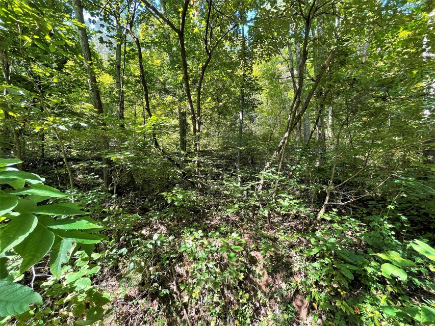 Photo #29: Tract Abc Dyer Hollow Road