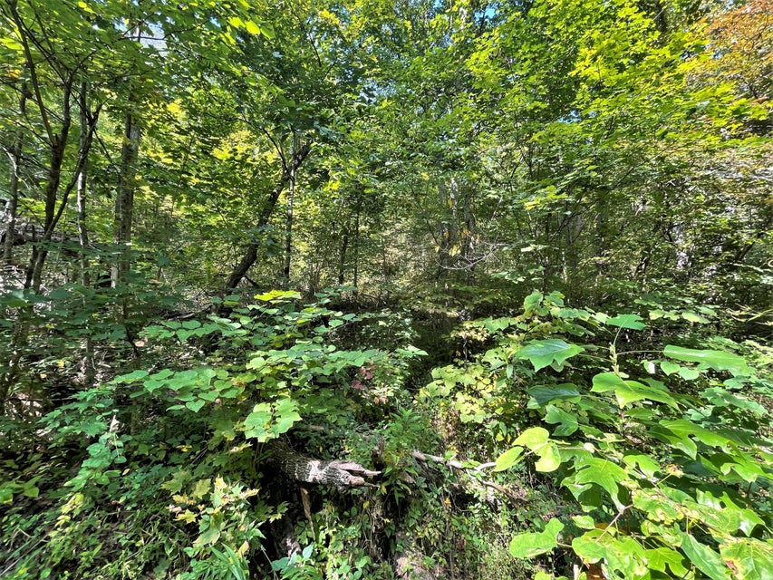 Photo #31: Tract Abc Dyer Hollow Road