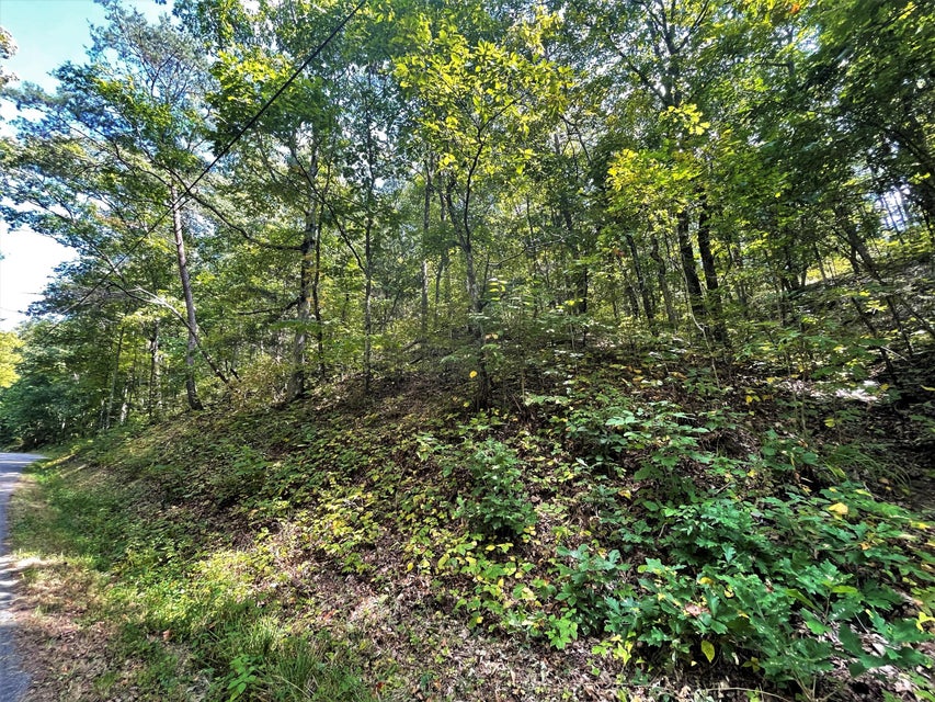 Photo #32: Tract Abc Dyer Hollow Road