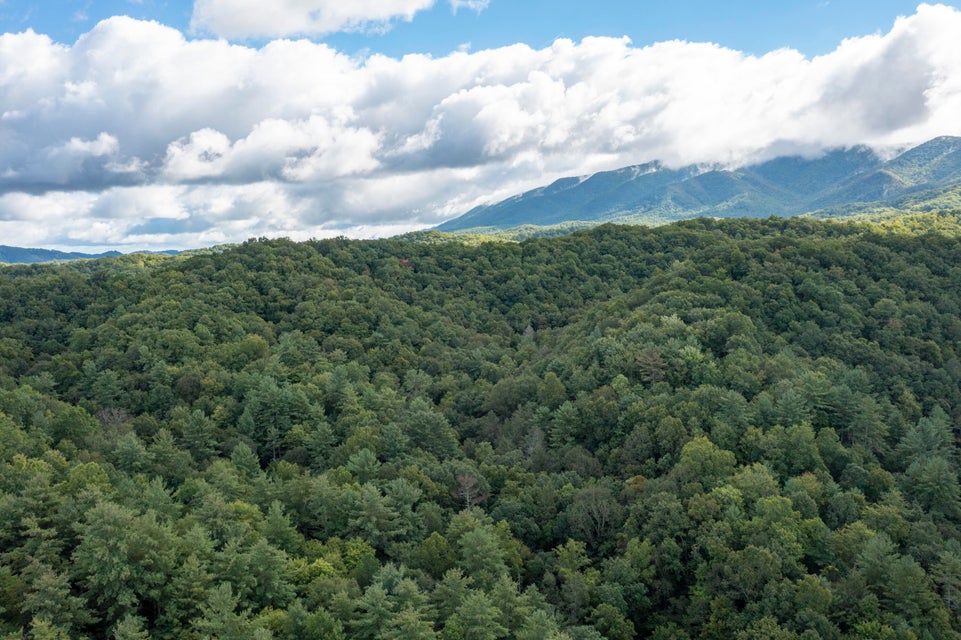 Photo #10: Tbd Sky Wa Mo