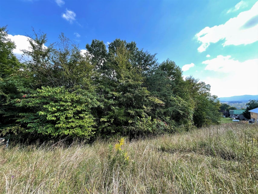 Photo #10: Lot 20 Oak Hammock Circle
