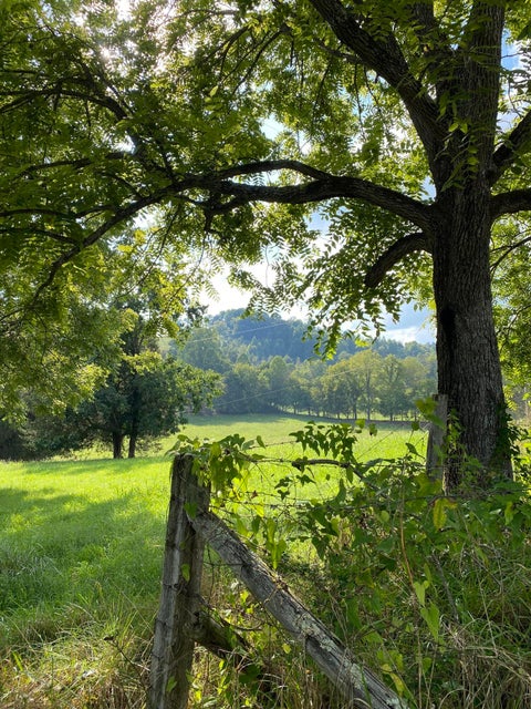 Photo #1: 902 Montgomery Hollow Road