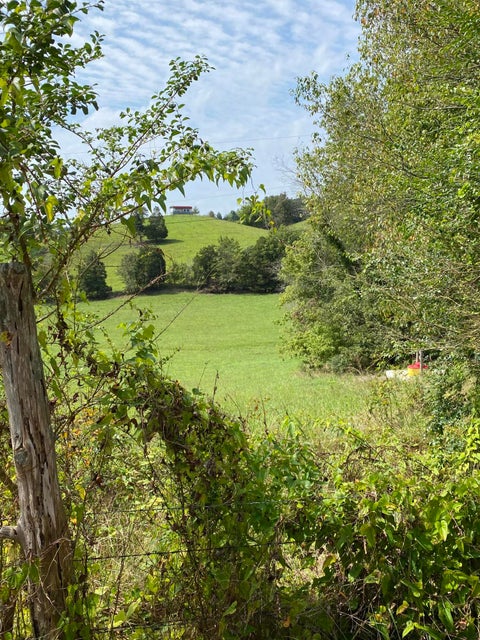 Photo #3: 902 Montgomery Hollow Road