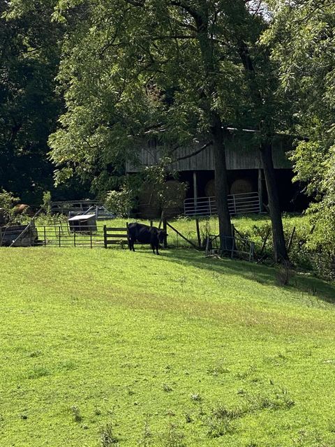 Photo #14: 902 Montgomery Hollow Road