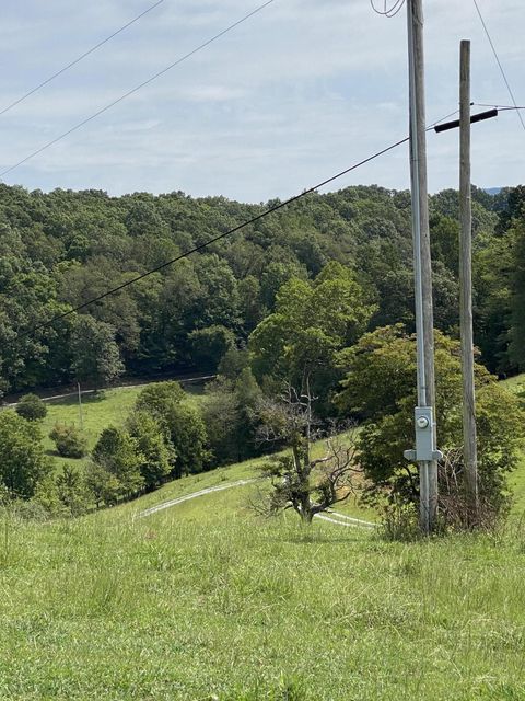 Photo #29: 902 Montgomery Hollow Road