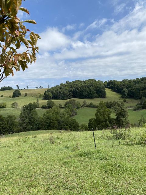 Photo #31: 902 Montgomery Hollow Road
