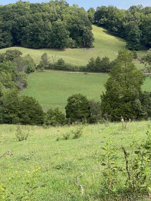 Photo #33: 902 Montgomery Hollow Road