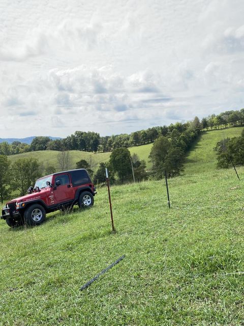 Photo #35: 902 Montgomery Hollow Road