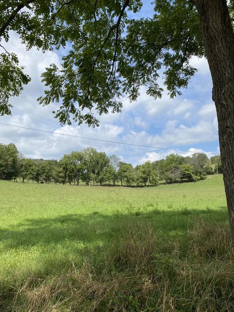 Photo #37: 902 Montgomery Hollow Road