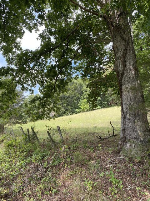 Photo #40: 902 Montgomery Hollow Road
