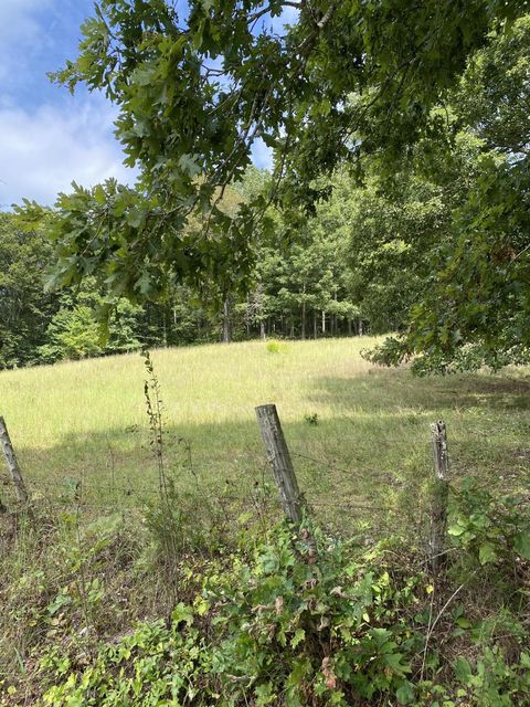Photo #45: 902 Montgomery Hollow Road