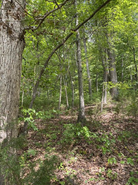Photo #42: 902 Montgomery Hollow Road