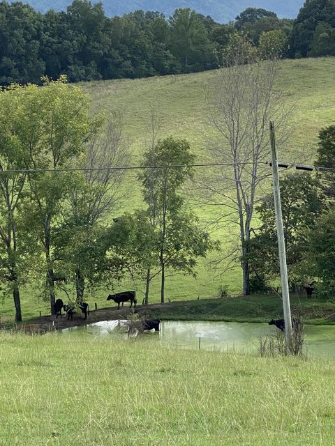 Photo #47: 902 Montgomery Hollow Road