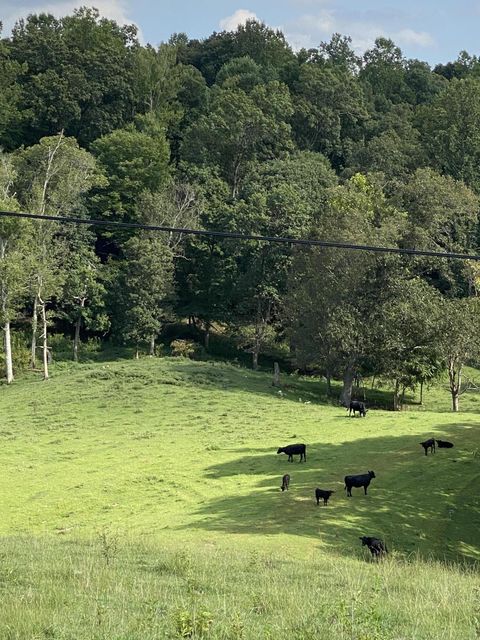 Photo #48: 902 Montgomery Hollow Road