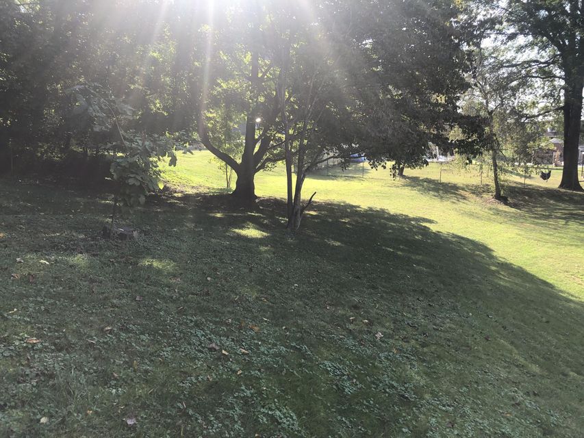 Photo #7: 2306 Eagle Drive