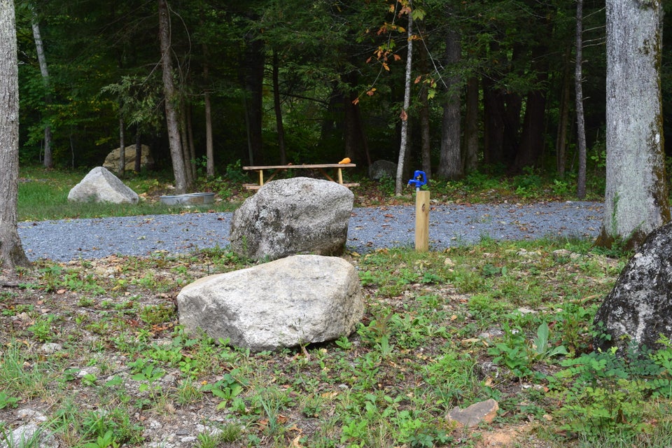 Photo #17: 7519 Highway 19e
