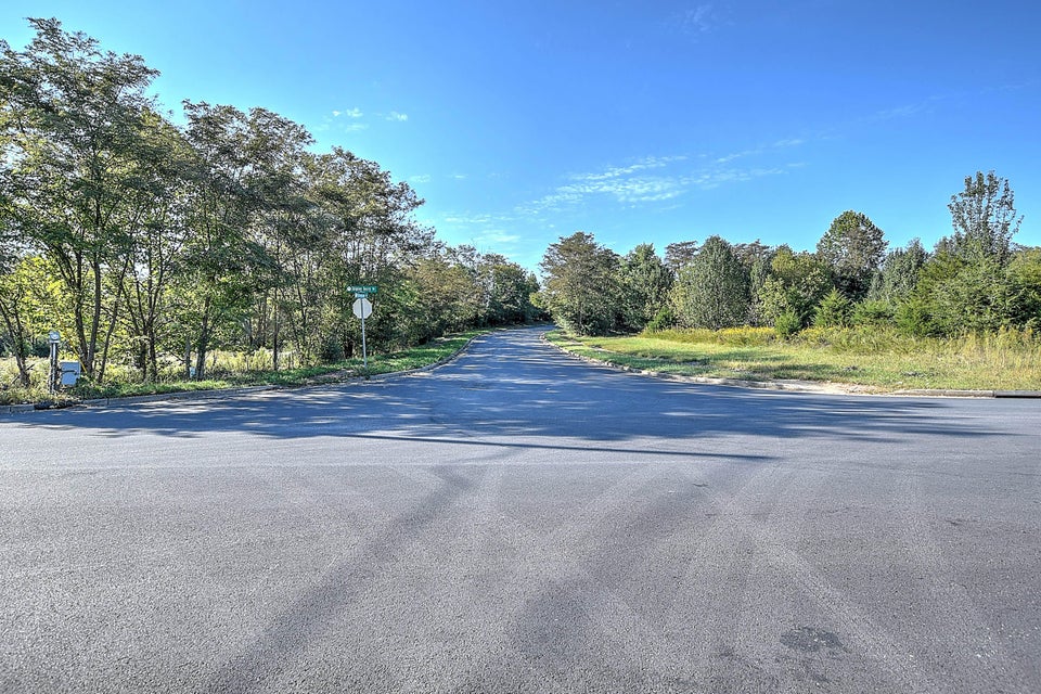 Photo #19: 1397 Shipley Ferry Road