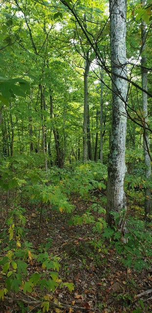 Photo #1: 00 Off Horse Creek Park Road