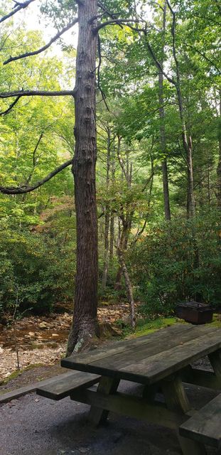 Photo #3: 00 Off Horse Creek Park Road