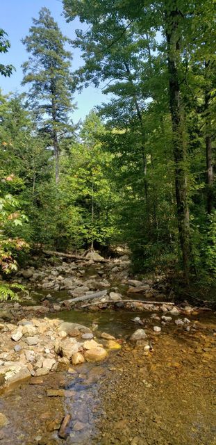 Photo #4: 00 Off Horse Creek Park Road