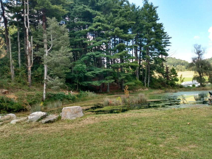 Photo #7: 255 Central Heights Rd. Road