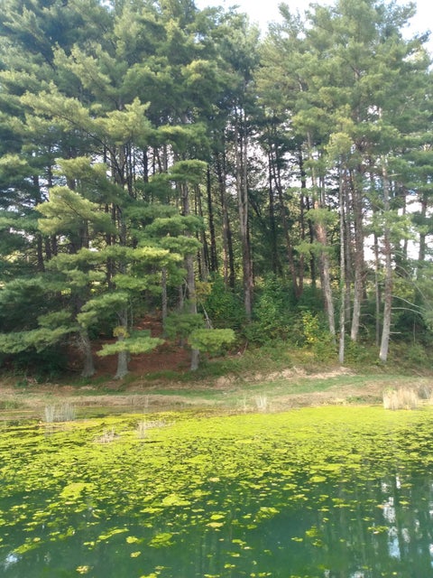 Photo #11: 255 Central Heights Rd. Road