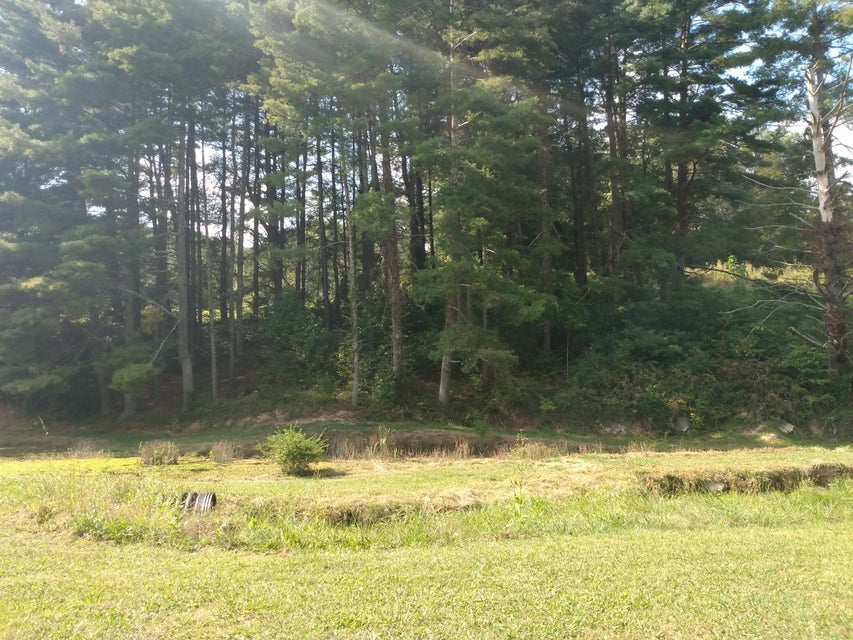 Photo #12: 255 Central Heights Rd. Road