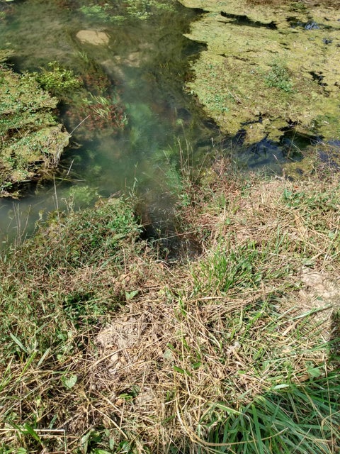 Photo #22: 255 Central Heights Rd. Road
