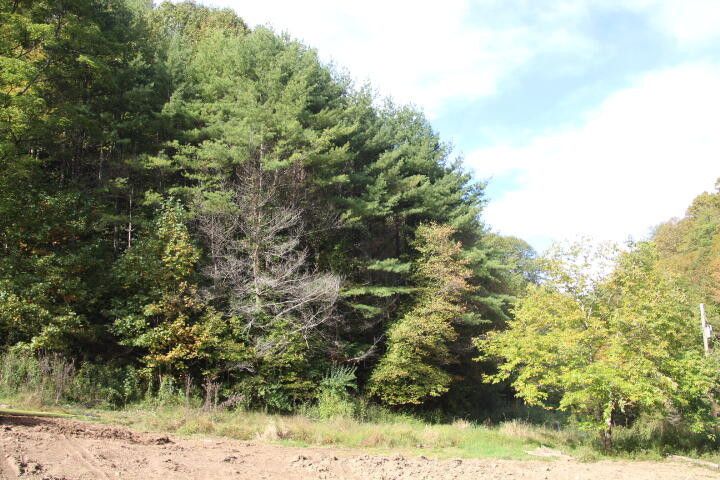 Photo #3: 414 T Greer Road