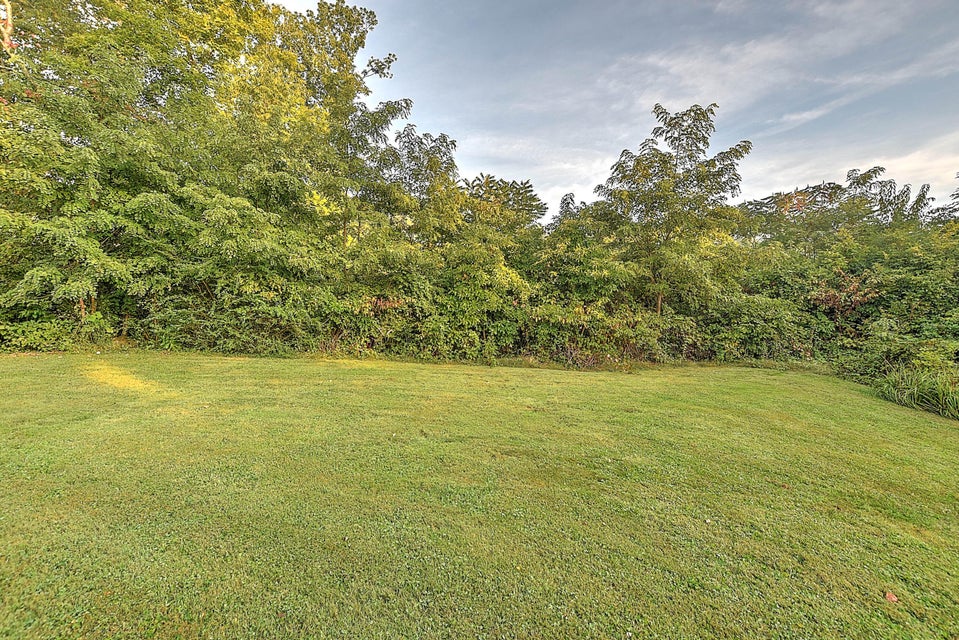 Photo #25: 2133 Westfield Street