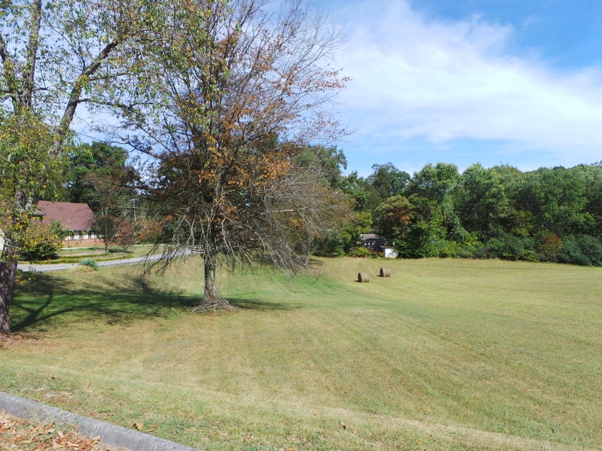 Photo #4: Tbd Lebanon Road