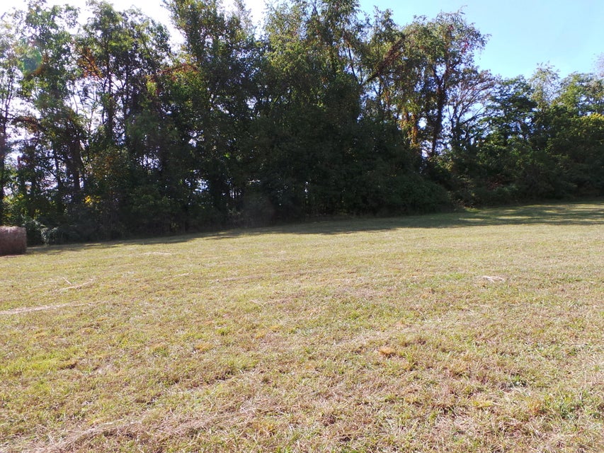 Photo #11: Tbd Lebanon Road