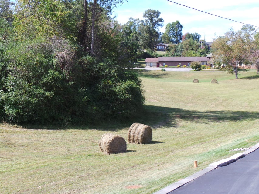 Photo #28: Tbd Lebanon Road