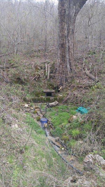 Photo #1: 00 Willow Springs Drive Drive