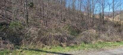 Photo #3: 00 Willow Springs Drive Drive