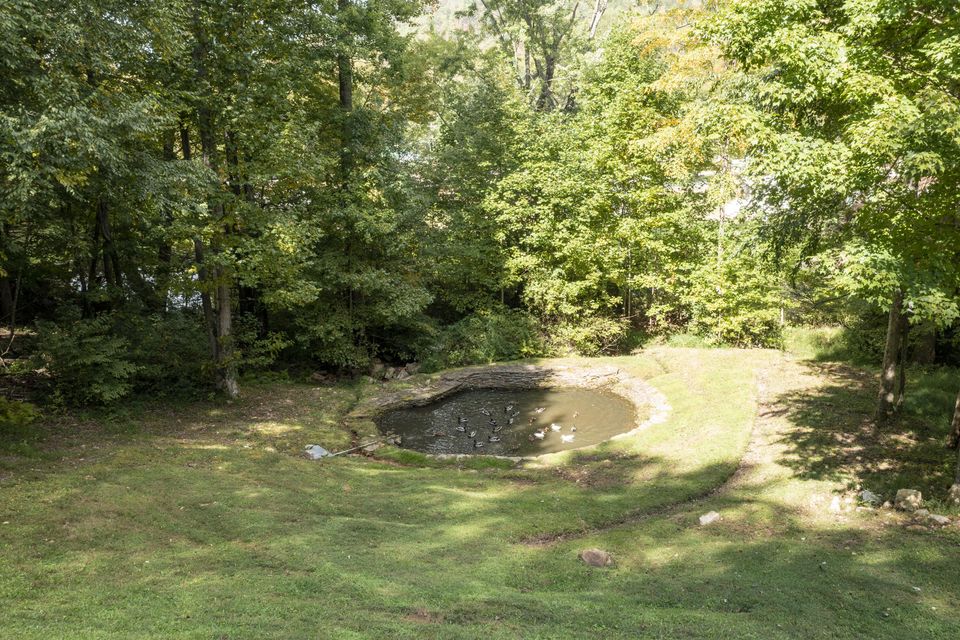 Photo #18: 1378 Rock Creek Road Road