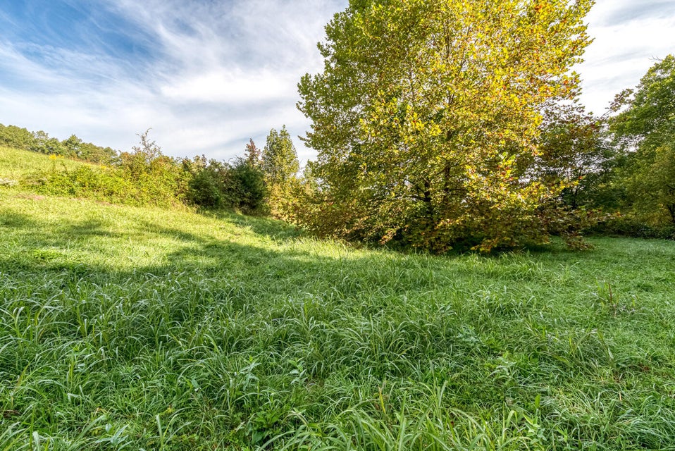 Photo #2: 456 Beech Grove Road