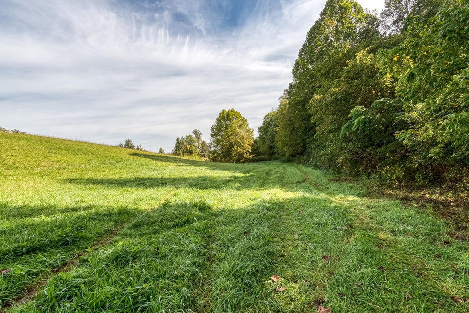 Photo #4: 456 Beech Grove Road