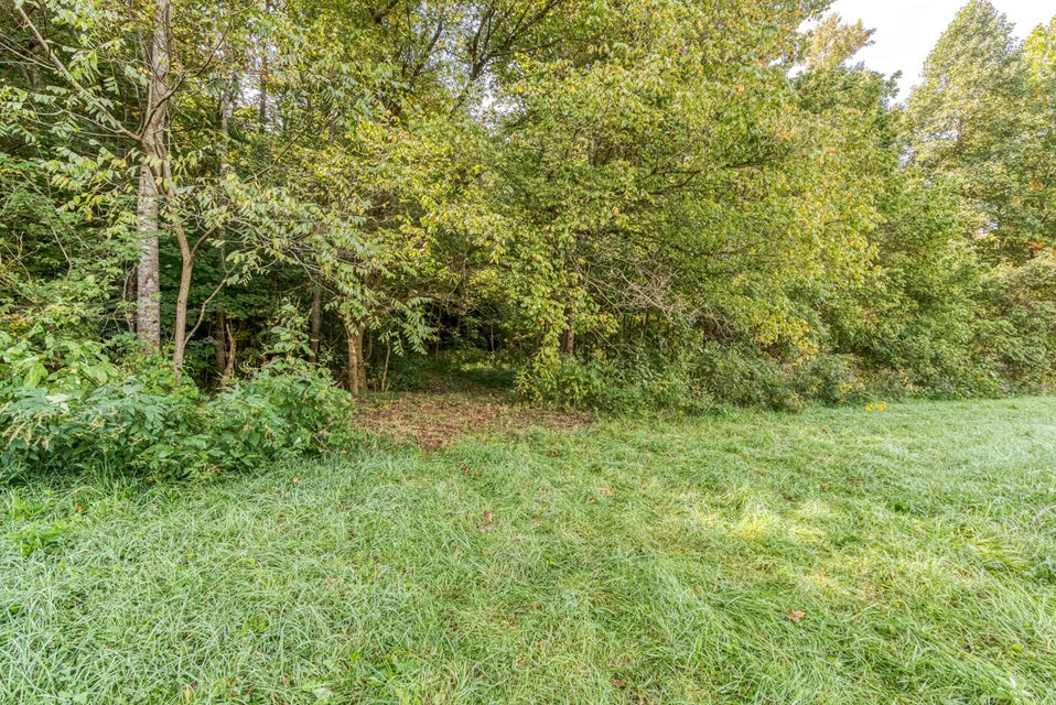 Photo #5: 456 Beech Grove Road